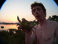 crabe